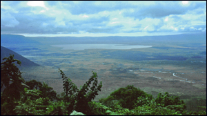 Ngorongoro Crater